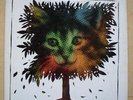 RONNIE FOSTER CHESHIRE CAT LP 1975 (RECORD HAS LIGHT SIGNS OF USE) USA