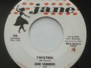 Rockabilly GENE SUMMERS Twixteen / I'll Never be Lonely JANE VG++ Promo 45 HEAR