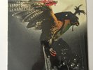 Budgie ?– In For The Kill   LP Original UK 1st Pressing 1974 A1/B1 STUNNING