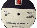 Aged In Harmony ?– You're A Melody - 12