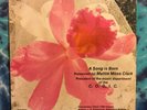 Mattie Moss Clark  LP  A Song Is Born  VOLUME 4 PART 2  Black Gospel NORTHBOUND