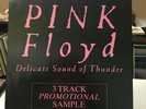 Pink Floyd Delicate Sound Of Thunder 3 Track U.K. Promo Sampler 1988