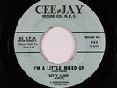 R&B Soul Blues 45 - Betty James - I'm A Little Mixed Up - Cee-Jay - mp3