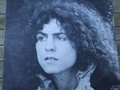Tyrannosaurus Rex, A Beard Of Stars/ Unicorn double vinyl LP, Fly 1972