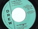 THE PRECISIONS  -  If This Is Love  -  DREW  -  7