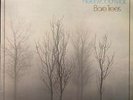 Fleetwood Mac - Bare Trees (LP, Album) Vinyl Schallplatte - 94208