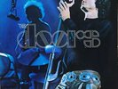 The Doors - Absolutely Live (2xLP, Album, RE) Vinyl Schallplatte - 145291