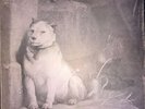 Pavlov's Dog - Pampered Menial (LP, Album) Vinyl Schallplatte - 164441