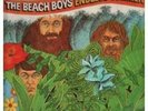 The Beach Boys Endless Summer 2xLP Comp Vinyl Schallplatte 122071