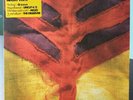 Yeay Yeah Yeahs Show Your Bones Extra Heavyweight Vinyl Edition Rare Unplayed