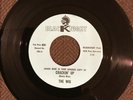 THE WIG 7” Crackin’ Up   RARE ‘67 TEXAS PSYCH  RUSTY WEIR 13TH FLOOR ELEVATORS