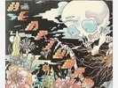 The Shins Heartworms Newbury Clear with Black Marbled LP Vinyl Ltd 1500