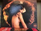 Hair The  31 Flavors Crown Psychedelic Rock