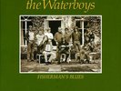 WATERBOYS FISHERMAN'S BLUES LP VINYL NEW 180GM 2015