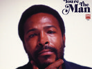 Marvin Gaye - You're The Man [New Vinyl LP]