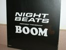 Night Beats Perform the Sonics Boom NEW SEALED vinyl LP RSD 2019