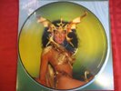 LP CHER  Take Me Home PICTURE DISC