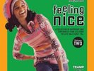 VARIOUS - Feeling Nice Vol.2 - 2 LP Tramp