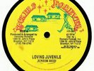 JUNIOR REID - Loving Juvenile - Vinyl (12