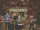 CRANBERRIES, The - In The End - Vinyl (gatefold LP)