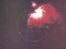 Joy Division TRANSMISSION Australian RARE 7