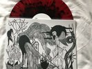 Rare Dragged Into Sunlight Lp, Mayhem, Full Of Hell, Grave Miasma, Coffins