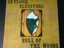 13th Floor Elevators 