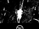VLAD TEPES/BELKETRE - march to the black holocaust Double-LP