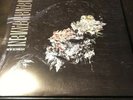 Deafheaven NEW BERMUDA GATEFOLD Vinyl Record 2 LP