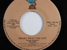 70s Soul 45 PULSE Shake What You Got OLD WORLD HEAR