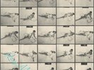 Roxy Music (Self TItled) - Remixed 2 LP Vinyl - (RSD) Record Store Day 20