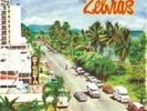 THE ZEBRAS: SIESTA {LP vinyl}