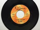 THE CAMEOS - If I Never See Him Again/Just Ask Him - 45 RPM Promo Girl Group NM