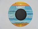 THE SISTERS LOVE Give Me Your Love MOWEST Funk Soul 45 HEAR