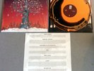 Dance Gavin Dance - Artificial Selection Vinyl Orange / Black Smash /1000 New