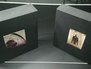 Pearl Jam Ten and VS/Vitalogy Vinyl Box Sets Collector's Edition Both Complete