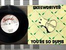 Skrewdriver ?– You're So Dumb