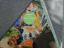 Modest Mouse Poison The Well Record Store Day 2019 RSD Triangle Vinyl