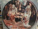 CANNIBAL CORPSE - BUTCHERED AT BIRTH Rare Picture Disc First Edition See Pics