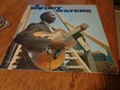 Muddy Waters Vinyl LP at Newport 1960 Chess Black Label First Press
