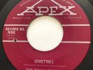GARAGE PUNK The Royal Family SOMETIMES Apex 45 rare Canadian EX