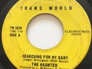 GARAGE PUNK The Haunted SEARCHING FOR MY BABY Trans World 45 rare Canadian fuzz