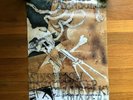Circle Takes The Square Roots Undo Poster pg.99 Saetia City Of Caterpillar Envy