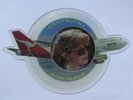 KIRSTY MACCOLL He’s On The Beach SHAPED PICTURE DISC STIFF UK Press VINYL 7