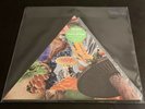 2019 RSD Modest Mouse Poison The Well - Limited Triangle Mint Green Vinyl