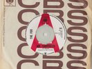 THE FOX - Mr Carpenter (RI)