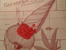 The Chariot Riders / Sensimilla Dub / Vinyl / Dub / Crystal Records  / Jamaica