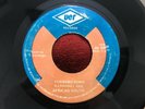 AFRICAN YOUTH / FORWARD DOWN A CHANNEL ONE ROOTS REGGAE RARE 45 UER