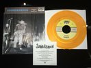 SOUNDGARDEN Hunted Down 7