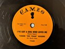 R&B ROCK ’N’ ROLL BLUES 78: TIMMIE “OH YEAH ” ROGERS: I Got a Dog Who Loves Me